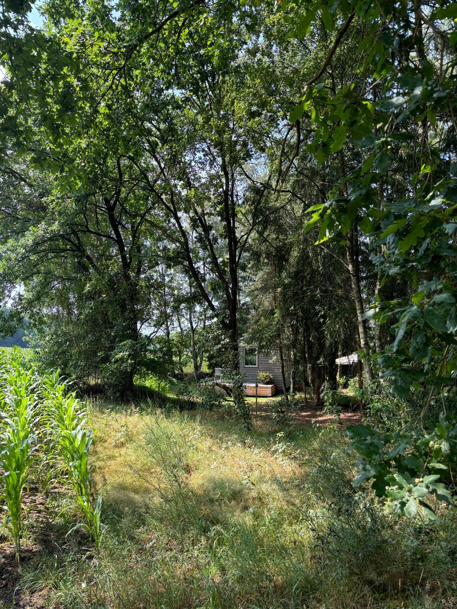Tiny House Mit Garten In Der Lueneburger Heide Soltau Eksteriør bilde